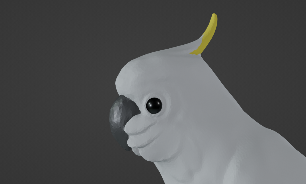 A close up profile view of the cockatoo sculpt's head