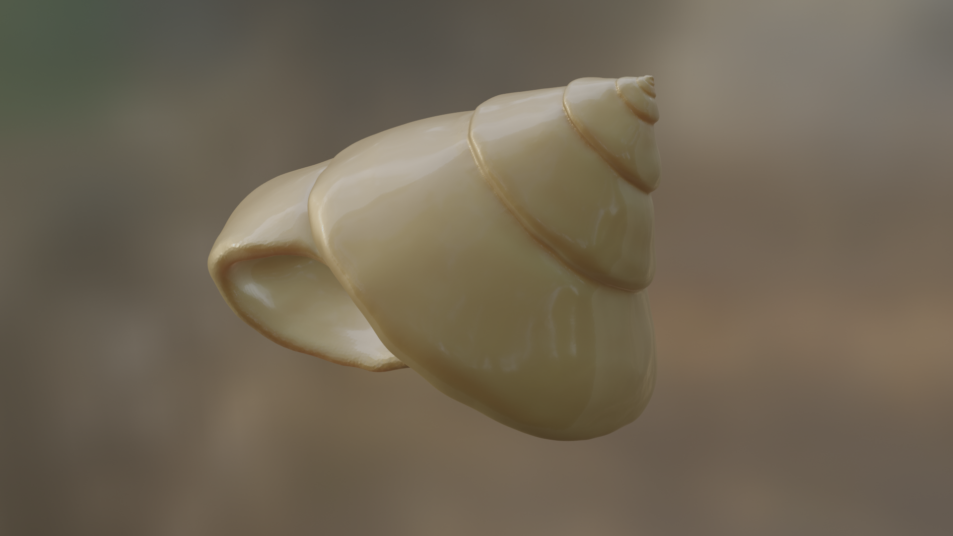 I sculpt of a spiral shell with the opening visible