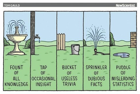 5 panned cartoon
1. Fount of all knowledge
2. Tap of occasional insight
3. Bucket of useless trivia
4. Spring of dubious facts
5. Puddle of misleading statistics