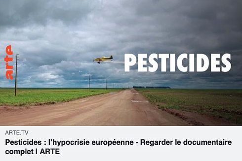 💢 “Pesticides : l’hypocrisie européenne” 💢 
 Eldorado pour les agro-industries chimiques, le Brésil est complaisamment alimenté en pesticides par une Europe qui se débarrasse de ses produits interdits. Un cynisme aux conséquences désastreuses pour la santé, épinglé par une enquête accablante.

🎬 https://www.arte.tv/fr/videos/095070-000-A/pesticides-l-hypocrisie-europeenne

#LaViaCampesina #StopAgrotoxics #AgrotoxicsKILL #SecretsToxiques #ToxicTrade #PublicEye
