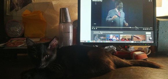 Thelonious and Thelonious (the kitten)
