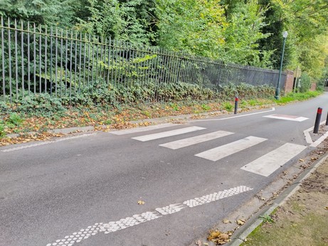 Zebrastreifen, der in einem Zaun endet