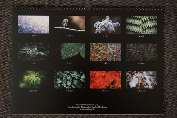 Die Rückseite des Naturnahaufnahmekalenders.

Man sieht 12 verschiedene Motive: Schnee im Januar, ein Tannenzapfen im Februar, eine wollähnliche Blüte im März, ein Farn im April, Tannenadeln im Mai, Ein grünes Blatt mit Regentropfen im Juni, eine Akazienrinde im Juli, eine Wolfsmilch im August, eine andere Nadelart im September, viele Kleeblätter im Oktober, rote Ahornblätter im November, Schnee auf Eichenblättern im Dezember.

Weiterhin wird noch der Fotograf Miro Lange und die Homepage erwähnt.