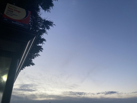 Photo of top corner of bus shelter with sign for buses to Eastbourne with a pine tree behind and the dawn light