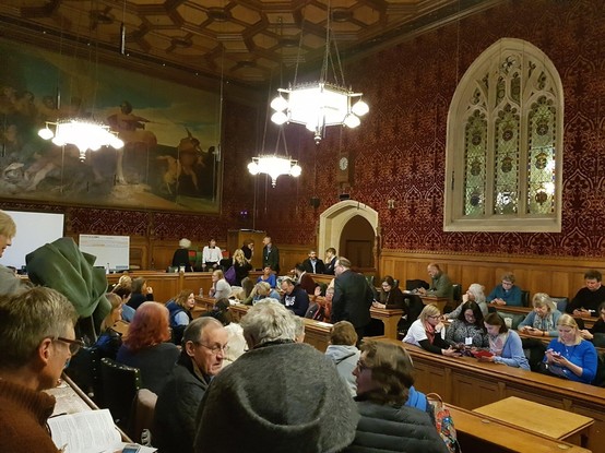 EU citizens in the UK and British in Europe meeting their MPs during the mass lobby for citizens rights after Brexit on November 5th, 2018