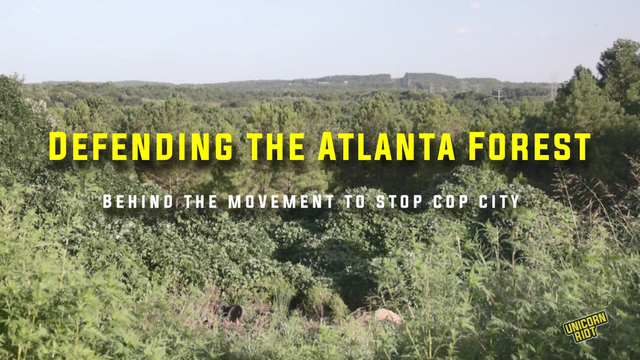 Title card: "Defending the Atlanta Forest / Behind the movement to stop Cop City" with trees in forest in an afternoon