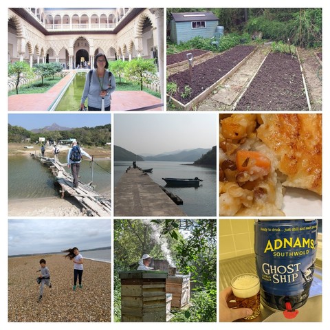 Collage of photos showing kids, veg patch, food, beer, travel, hiking...