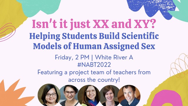 Text reads “isn’t it just XX and XY? Helping students build scientific models of human assigned sex. Friday, 2 PM, White River A. Featuring a project team of teachers from across the country! #NABT2022”