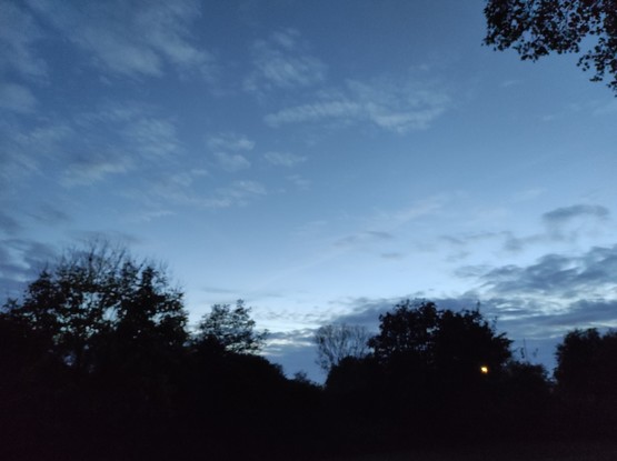 Himmel mit Bäumen in der Abenddämmerung