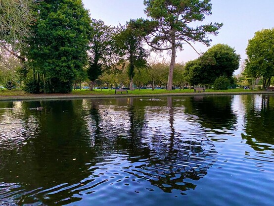 Herbert Park pond. Evening ripples. Blue sky turning pale. Green-leaves trees.