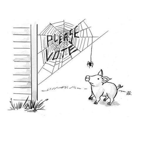 Cartoon of a pig looking at a spider web where "Please vote" has been woven into it