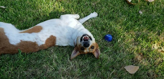 LeeLoo