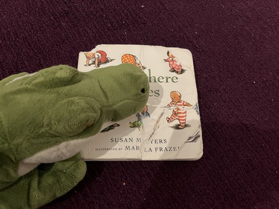 A plush alligator climbing on a copy of Everyday Baby’s. The front cover is torn and taped back together. The top corner is chewed and missing