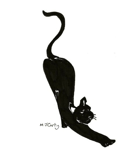 A sketch of a black cat having a stretch!

If you have taken the time to read this text, then may today be nothing but kind to you and yours.