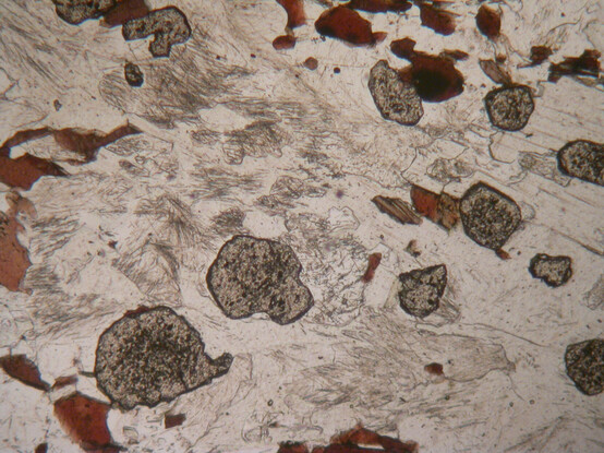A 2mm wide planepolarized light microscope view of a rock from Knocknairling in the Scottish Southern Uplands. Dark brown crystals of biotite, and large rounded crystals of garnet, plus pale-colourless crystals of quartz and muscovite, and brightly cooloured crystals of muscovite, both full of little hair-like crystals of sillimanite.