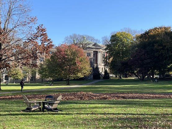Fordham Rose Hill Campus fall leaves lawn