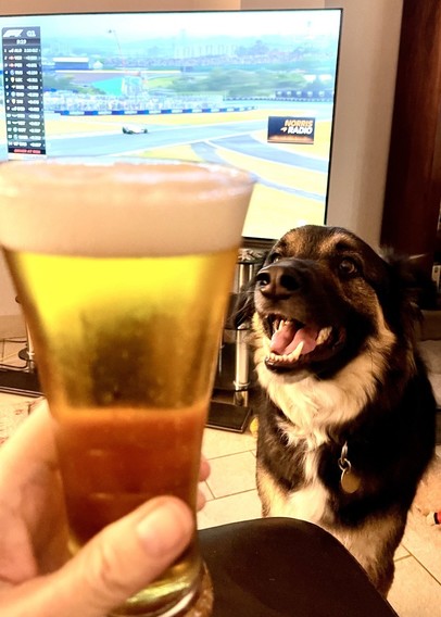 Beer, dog, F1 on the Telly!
