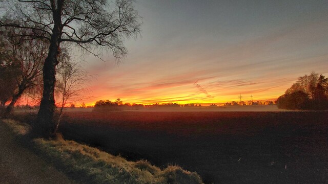 Sonnenaufgang über dem Schwabener Moos. Der Himmel leuchtet schon, die Sonne selbst ist aber noch nicht zu sehen. Blick über einen Acker, links und rechts im Bild stehen Bäume.
