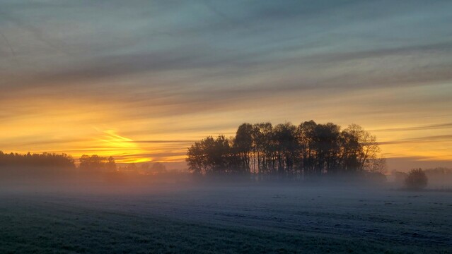 Sonnenaufgang über dem Schwabener Moos.  Oranger Himmel und Bodennebel über einem Feld. Im Hintergrund ragt eine Baumgruppe aus den Nebelschwaden. 