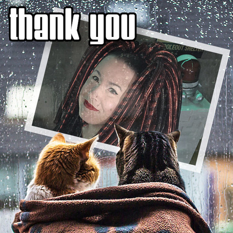 Two domestic shorthair cats wrapped in a cozy blanket, looking at a photo of Phoole pasted onto a window. Outside, it is grey and rainy. Phoole is smiling resignedly in the photo. The text "Thank You" is superimposed over the image.