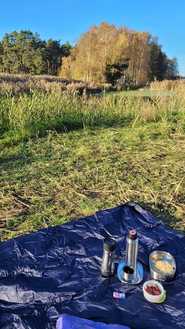 Auf einer Wiese liegt eine Decke mit Kissen, darauf das beschriebene Picknick in Thermoskannen, Brotdose und kleiner Tupperdose. Im Hintergrund ist ein Teich zu erahnen, mit etwas Schilf und Entengrütze, dahinter Bäume. 