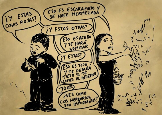 Dibujo en negro sobre pergamino de Javier y Clara cogiendo plantas en el campo. Javier mira unas bayas que tiene en la mano y dice
-¿Y estas cosas rojas?
-Eso es escaramujo y se hace mermelada.
-¿Y estas otras?
-Eso es acebo y te hará vomitar.
-¿Y estas?
-Eso es tejo y te dejará tieso si te comes el interior.
-Joer.
-¿Ves como los herbarios son importantes?