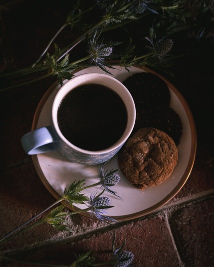 Mug of apple cider next to molasses cookies and thistles