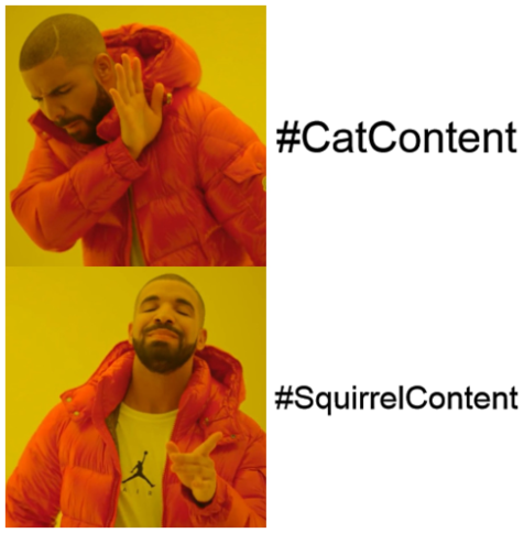 Drakeposting-Mem, bei dem neben dem ersten Bild #CatContent und neben dem zweiten #SquirrelContent steht.