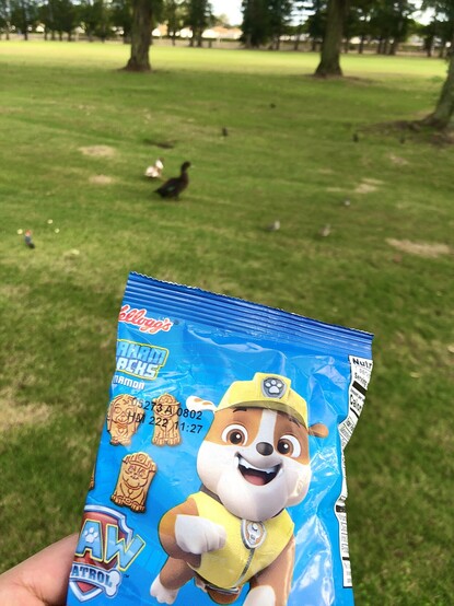 Packet of Paw Patrol cookie snacks at golf course with ducks in the background. 