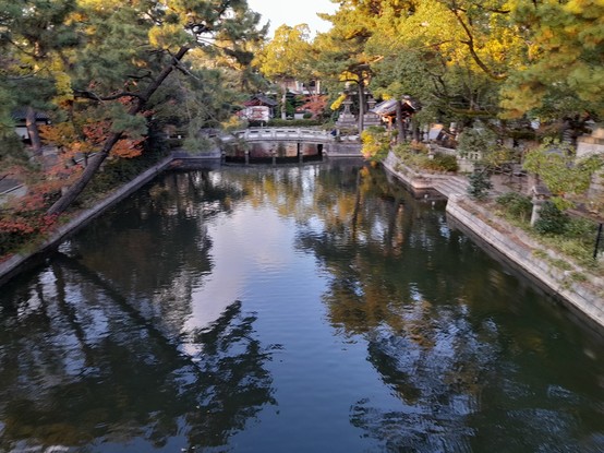 View from the bridge 