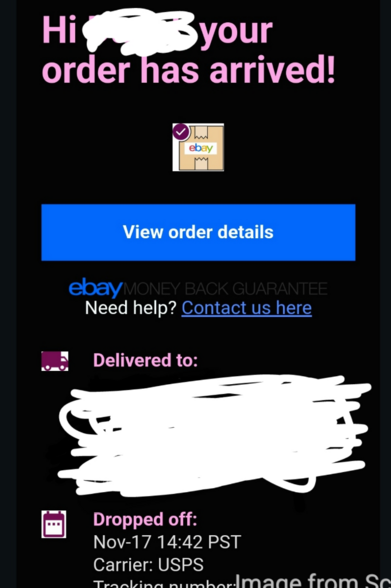 Verification from eBay showing delivery of the fraudulent order. Argh!