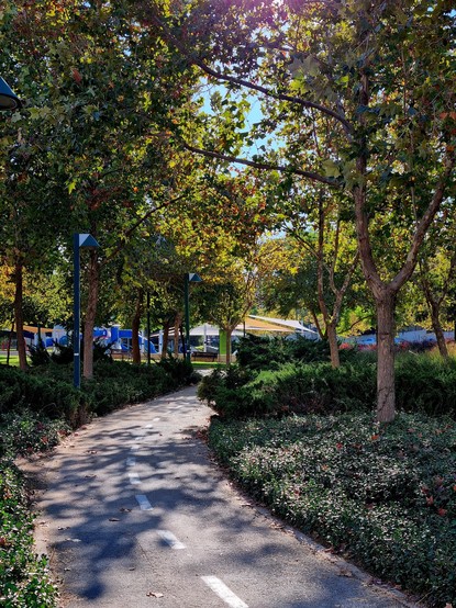 A paved bike path curving though trees in a suburban park.