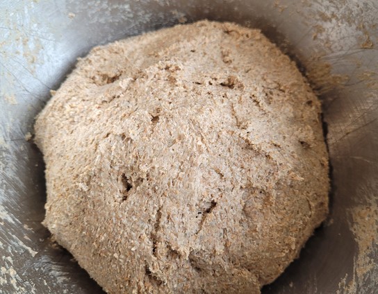 Der geknetete Teig halbwegs glattgestrichen in einer Schüssel. 