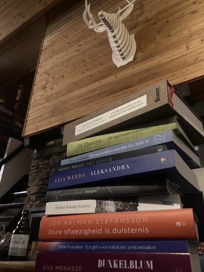 Stapel met te lezen boeken tijdens deze vakantieweek.