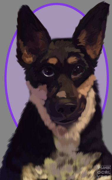 Pet Dog
