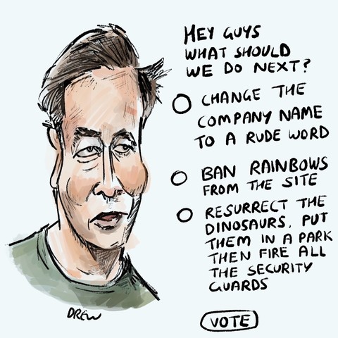A parody Elon Musk poll
