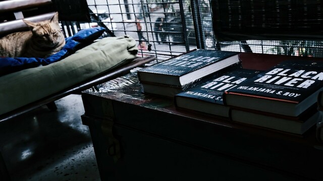 My lovely ginger cat Jenny, snoozing over the first copies of Black River.

Photograph by Prem Panicker