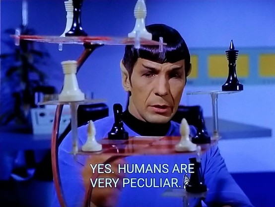 Spock sits and the pov shows him behind a 3D chessboard on 3 vertical levels. 
Closed caption reads, "Yes. Humans are very peculiar."