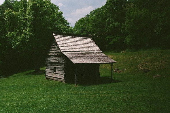 Old wooden house or shed along the side of a tree-lined road