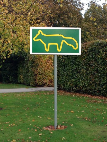 This is a photo of a sign in a park in Dublin, Ireland. It shows a yellow outline of a fox against a flat green background.