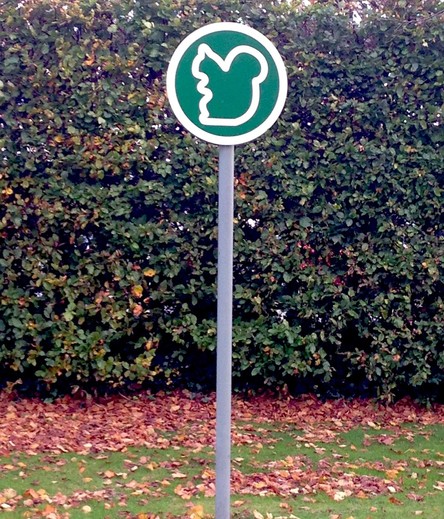 This is a photo of a sign in a park in Dublin, Ireland. It shows a white outline of a squrell against a flat green background.