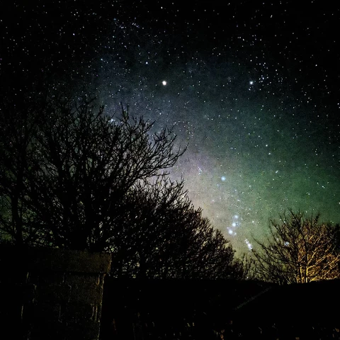 Orion in the night sky, the shadow of a tree beside a wall.
