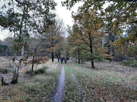 Excursiegroep loopt naar volgende locatie door heidecorridor