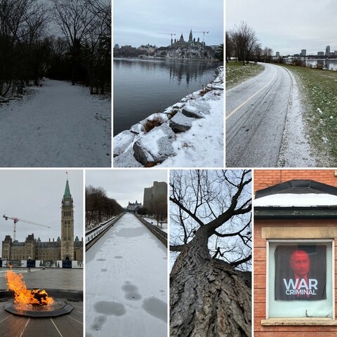 A grid of seven photos, top left, 1) dark snowy woods path, 2) the north shore of the Ottawa River, looking south to Parliament hill, 3) recreational path dusted in snow on south side of Ottawa River, bottom left, 4) Peace Tower at Parliament hill with confederation flame in foreground, 5) view north on the Corkstown bridge showing a snow-covered Rideau canal, the the Chateau Laurier in the distance, 6) Looking up a leafless tree, 7) a window overlooking the street where the Russian embassy in Ottawa is with a red-tinted photo of Putin along with the caption "War Criminal".