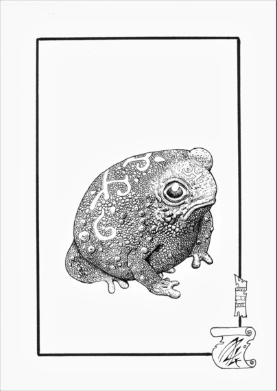 Dessin d'une mignonne petite grenouille aux motifs mystiques sur le dos