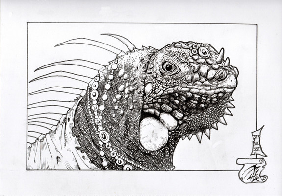 Dessin d'un iguane paré de bijoux et d'une cape