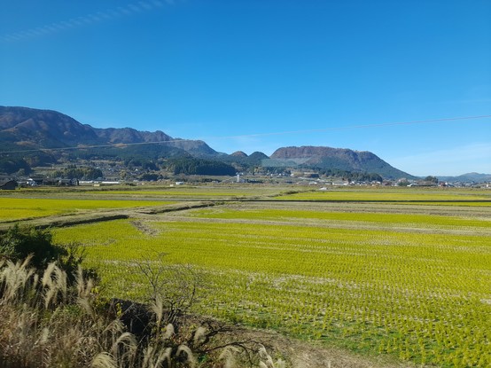 View from the Yufuin no Mori