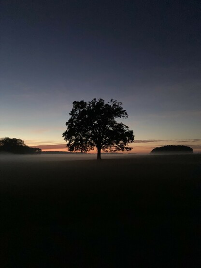 Abenddämmerung, letztes Rot vor der Dunkelheit, ein entfertes Waldstück am linken Bildrand, eines rechts hinten, mittig eine einzelne Eiche, an deren Fuß sich Nebel bildet, das Ganze ist unterlegt von einem roten Streifen der untergehenden Sonne, im Vordergrund liegt das Feld schon im Dunkeln