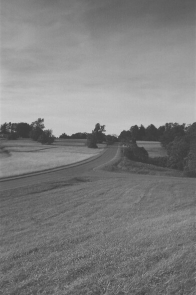 Black and white photo of a road curving over a small hill with trees and fields in the background and foreground.