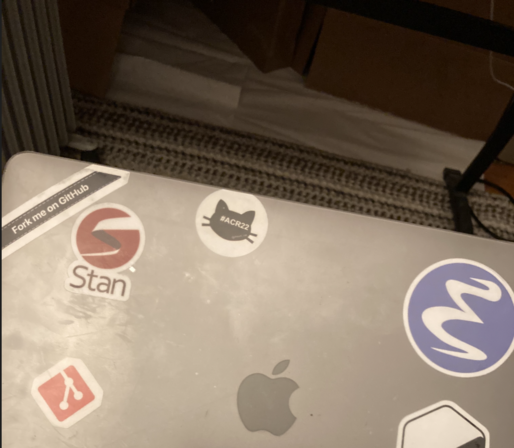 This is the famous @rheum_cat@med-mastodon.com (black cat shape with #ACR22 in it) sticker on my MacBook computer!